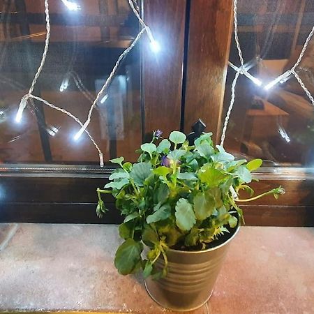 Apartamento Sefardi, Barrio Judio De Hervas Bagian luar foto