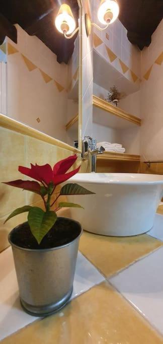 Apartamento Sefardi, Barrio Judio De Hervas Bagian luar foto
