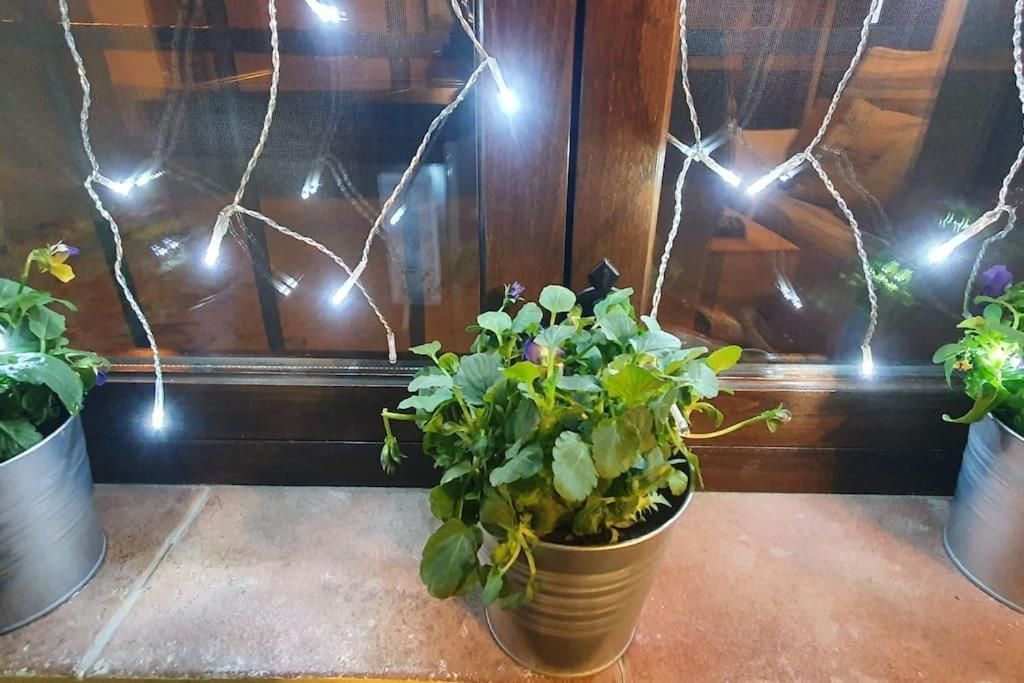 Apartamento Sefardi, Barrio Judio De Hervas Bagian luar foto